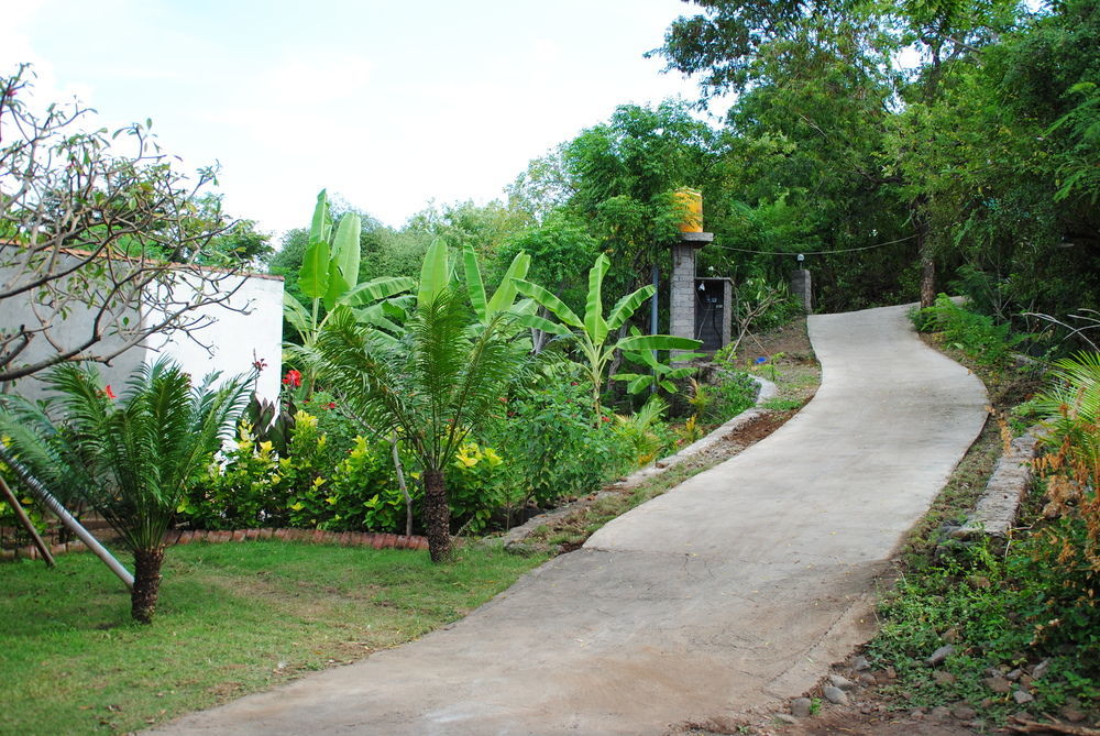 Tiara Homestay Pemuteran Exteriör bild